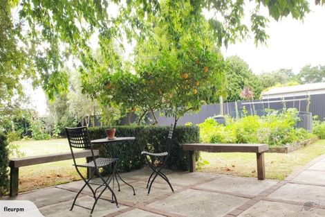 Photo of property in 50 Nixon Street, Hamilton East, Hamilton, 3216