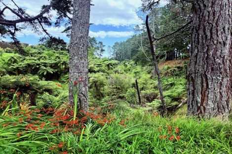 Photo of property in 29 I'anson Road, Minden, 3179