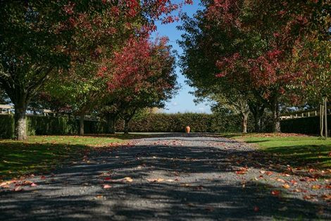 Photo of property in 342 Grice Road, Rotoorangi, Cambridge, 3495