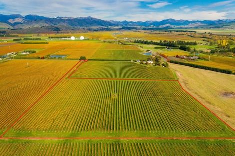 Photo of property in 96 Shandon Road, Waihopai Valley, 7276