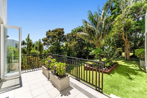 Photo of property in 55 Cliff Road, Saint Heliers, Auckland, 1071
