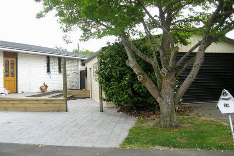 Photo of property in 19 Royleen Street, Casebrook, Christchurch, 8051