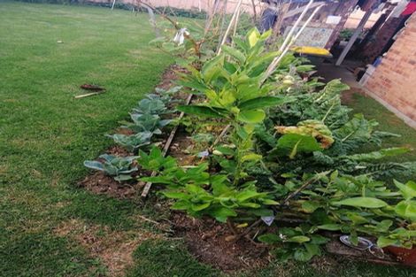 Photo of property in 33 Bellville Drive, Clendon Park, Auckland, 2103