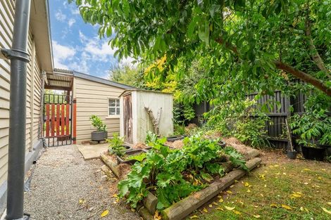 Photo of property in 11 Turnbull Street, Pareora, 7912