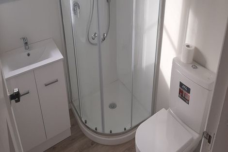 Photo of property in 96 Peachgrove Road, Hamilton East, Hamilton, 3216