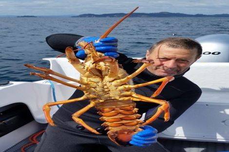 Photo of property in 88 Opito Bay Road, Opito Bay, Whitianga, 3592