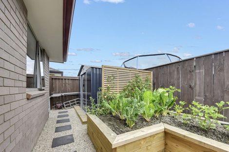 Photo of property in 40 Kerei Street, Motueka, 7120