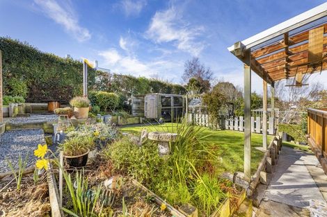 Photo of property in 22 Pennant Street, Wakari, Dunedin, 9010