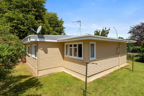Photo of property in 41a Clarkin Road, Fairfield, Hamilton, 3214