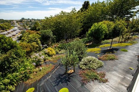 Photo of property in 12 Margaret Place, Merrilands, New Plymouth, 4312
