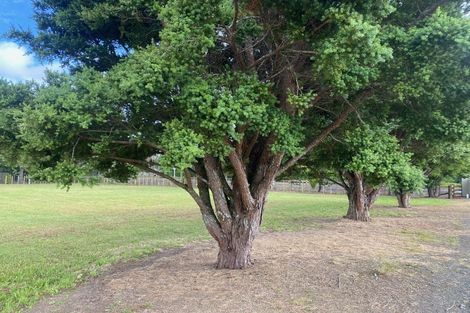Photo of property in 37 Sunnyside Road, Coatesville, 0793