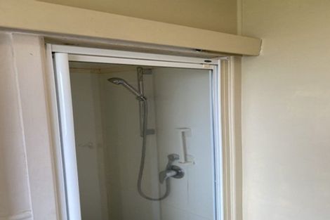 Photo of property in 102b Lewis Street, Glenview, Hamilton, 3206