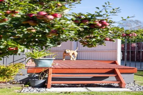 Photo of property in 20a Tiora Place, Upper Riccarton, Christchurch, 8041