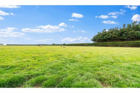 Photo of property in 812 Ryal Bush Wallacetown Road, Wallacetown, Invercargill, 9874