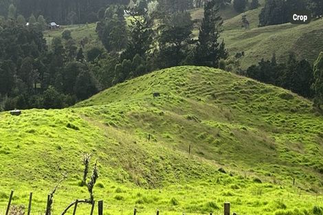 Photo of property in 492 Wairere Road, Paparoa, 0571