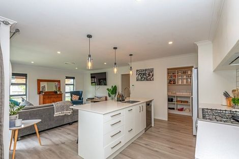 Photo of property in 153 Stanford Street North, Ashhurst, 4810