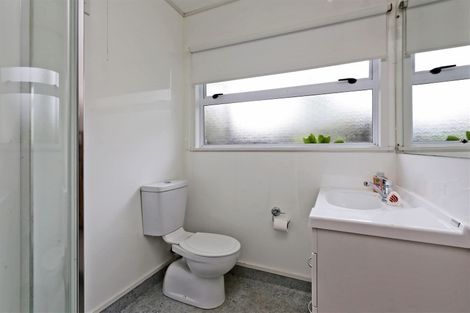 Photo of property in 247 Kenilworth Road, Mayfair, Hastings, 4122