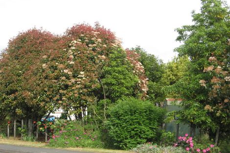 Photo of property in 31 Monkhouse Street, Tolaga Bay, 4077