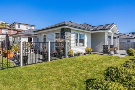 Photo of property in 17 Waitaria Terrace, Aotea, Porirua, 5024