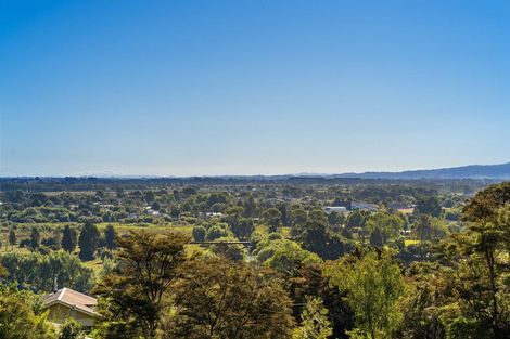 Photo of property in 1 Wilson Street, Te Aroha, 3320