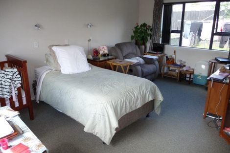 Photo of property in 41a Clothier Street, Putaruru, 3411