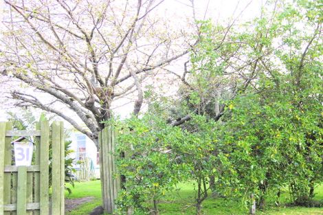 Photo of property in 31 Bignell Street, Gonville, Whanganui, 4501