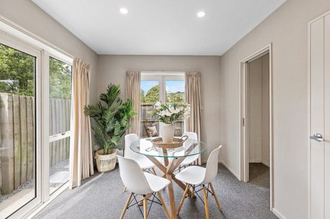 Photo of property in 45 Walton Street, Sydenham, Christchurch, 8023