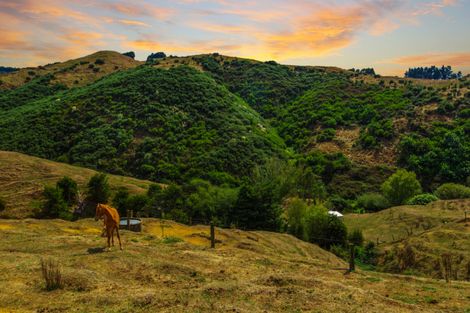 Photo of property in 94b Wilton Collieries Road, Glen Massey, Ngaruawahia, 3794