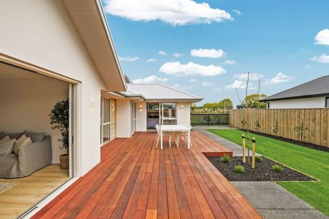 Photo of property in 5 Mills Road, Marshland, Christchurch, 8051