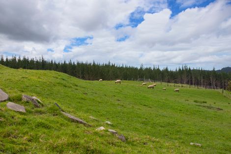 Photo of property in 127a Oruawharo Road, Topuni, Wellsford, 0975