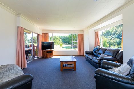 Photo of property in 233 Waipopo Road, Seadown, Timaru, 7973