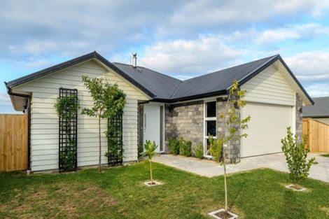 Photo of property in 29 Kohekohe Road, Papamoa Beach, Papamoa, 3118