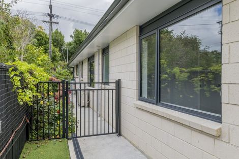 Photo of property in 144 Winchester Street, Levin, 5510