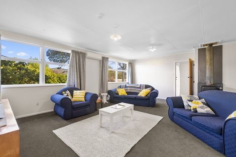 Photo of property in 38 Ohuanga Road, Turangi, 3334