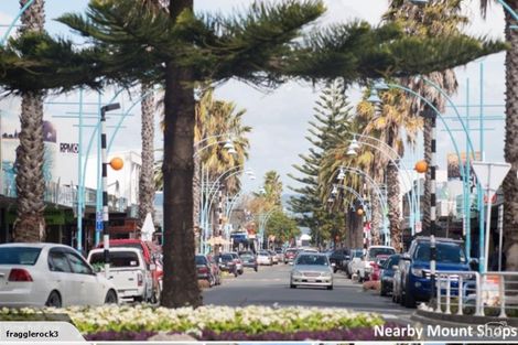 Photo of property in 29d Miro Street, Mount Maunganui, 3116