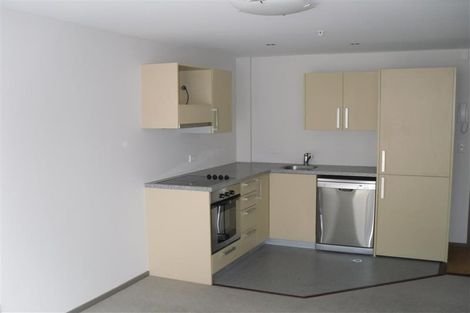 Photo of property in Dual Apartments, 306/142 Vivian Street, Te Aro, Wellington, 6011