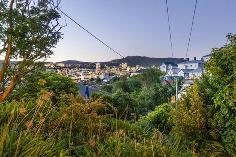 Photo of property in 43 Austin Street, Mount Victoria, Wellington, 6011