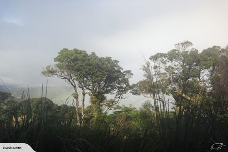 Photo of property in 483 Waiotemarama Gorge Road, Waimamaku, Kaikohe, 0473