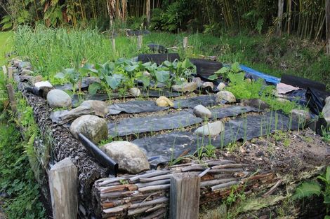 Photo of property in 3094 Coast Road, Barrytown, Runanga, 7873