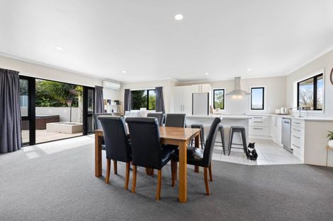 Photo of property in 15 Cashmere Place, Flagstaff, Hamilton, 3210