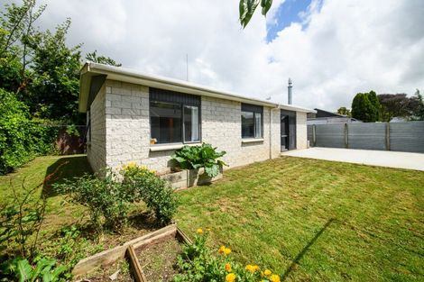 Photo of property in 3a Lytton Street, Feilding, 4702
