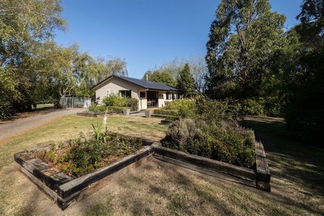 Photo of property in 219 Normanby Road, Rakaia, 7784