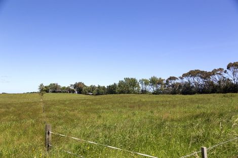 Photo of property in 233 Tatarariki Spur Road, Te Kopuru, 0391