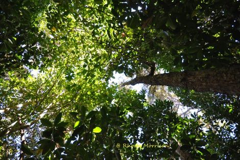 Photo of property in 196 Metcalfe Road, Matakohe, 0593