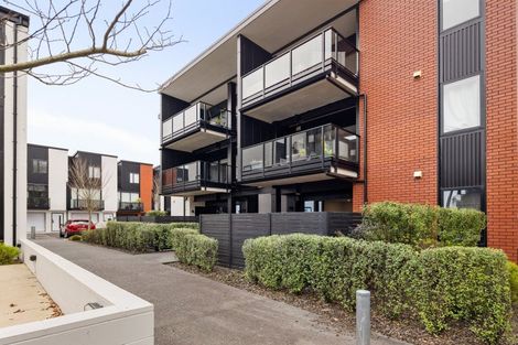 Photo of property in 1/216 Tristram Street, Hamilton Central, Hamilton, 3204