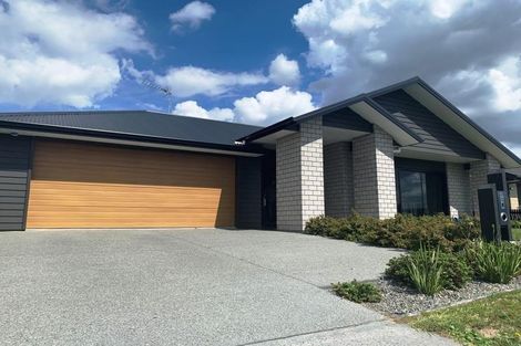 Photo of property in 41 Lulu Avenue, Chartwell, Hamilton, 3210