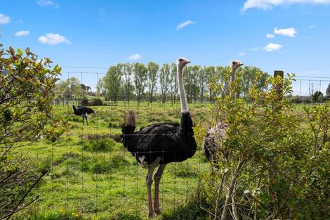 Photo of property in 28 Barnard Road, Fairy Springs, Rotorua, 3015