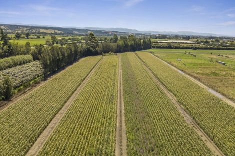 Photo of property in 444 Paton Road, Hope, Richmond, 7081