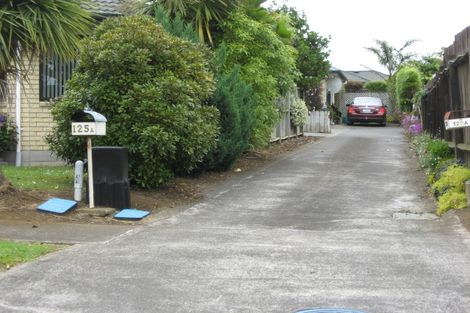 Photo of property in 125 Wellington Street, Pukekohe, 2120