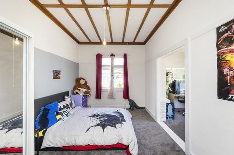 Photo of property in 53 Limbrick Street, Terrace End, Palmerston North, 4410